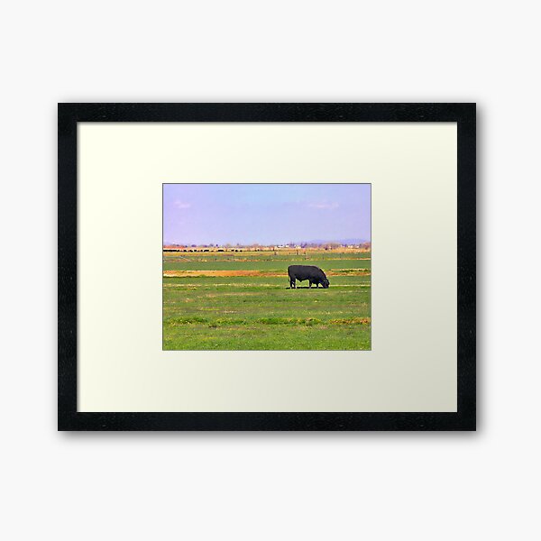 Bull's Eye in Utah Framed Art Print