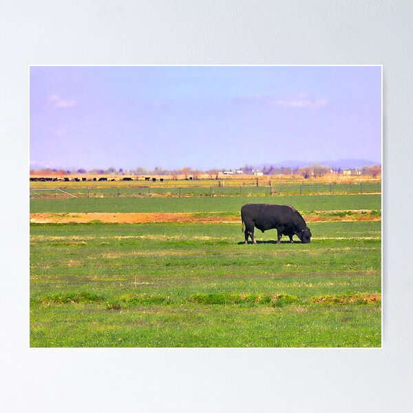 Item preview, Bull's Eye in Utah designed and sold by DeerPhotoArts.