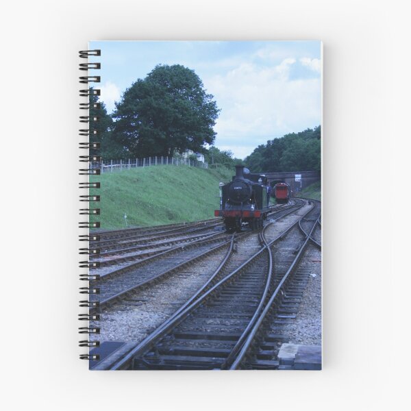 Aperçu de l'œuvre The bluebell railway créée et vendue par Profo Folia.