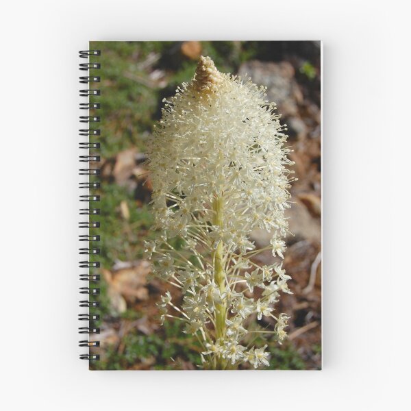 Artikelvorschau, Bears Grass entworfen und verkauft von JimmyJack.