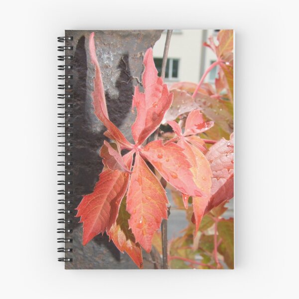 Item preview, Autumn Mood designed and sold by ViktoryiaN.