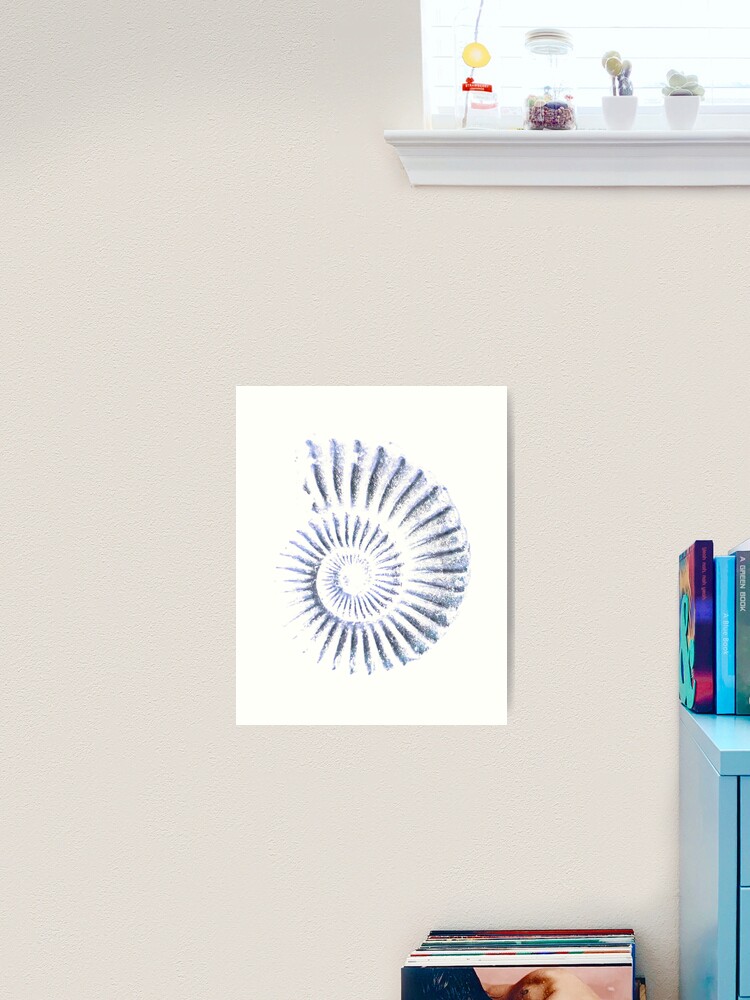 Thumbnail 1 of 3, Art Print, Ammonite designed and sold by LisaLeQuelenec.