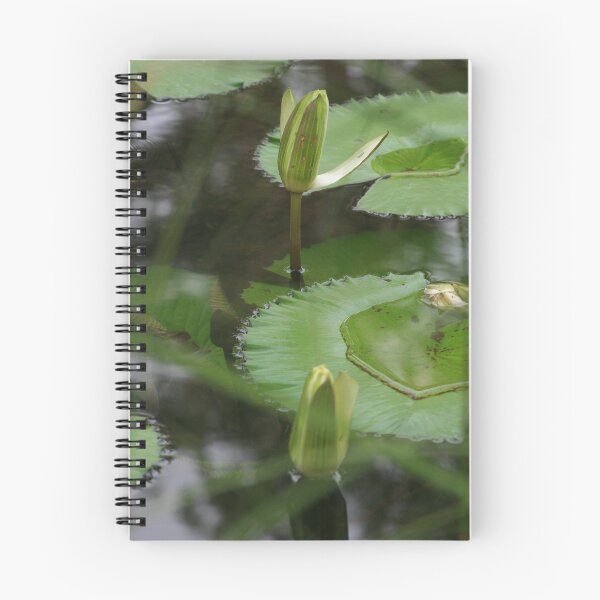 Artikelvorschau, Lovely Lillies entworfen und verkauft von Paula Bone.