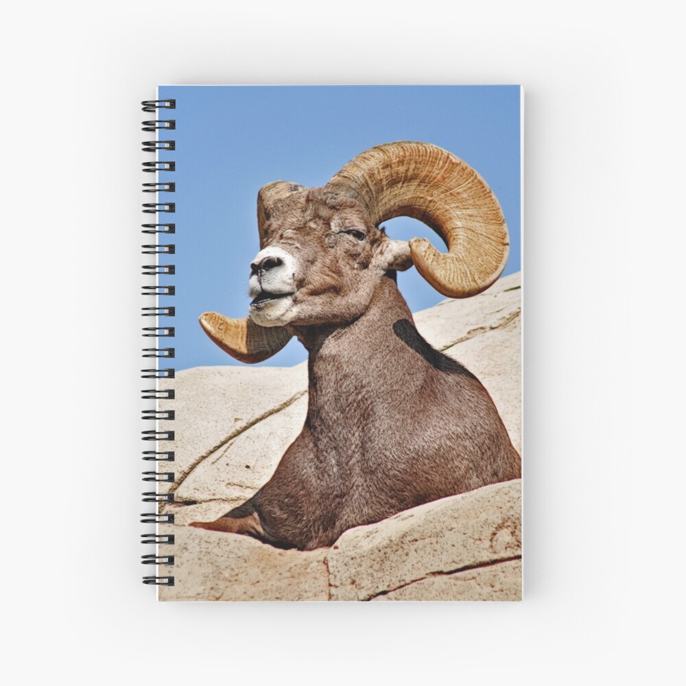 Item preview, Spiral Notebook designed and sold by MaluC.