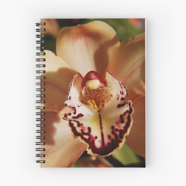 Item preview, Orchid designed and sold by Dusker.