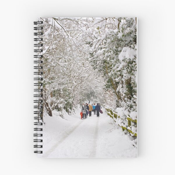 Item preview, An Unexpected Holiday designed and sold by Mike Freedman.