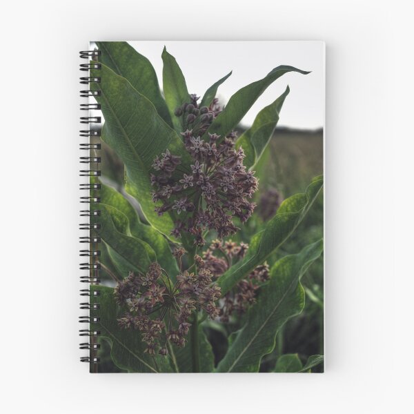 Item preview, Milkweed (in bloom) designed and sold by aaronc.