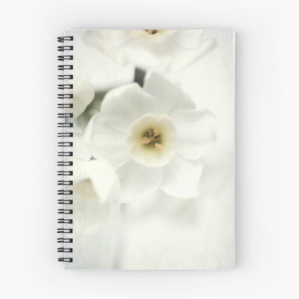 Item preview, Antique White designed and sold by GiGee.