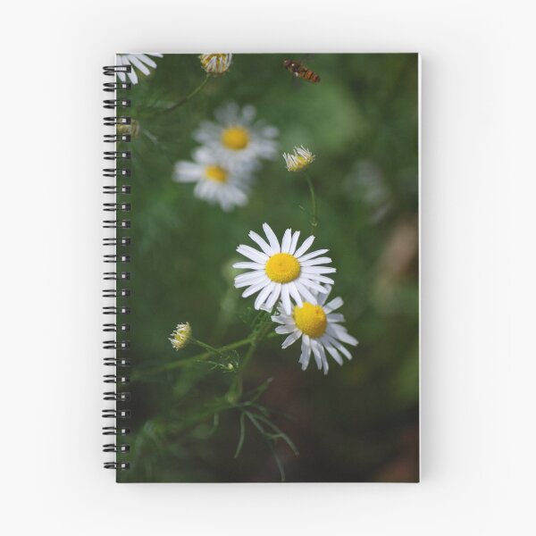 Item preview, Summer Daisies designed and sold by Rowan  Lewgalon.