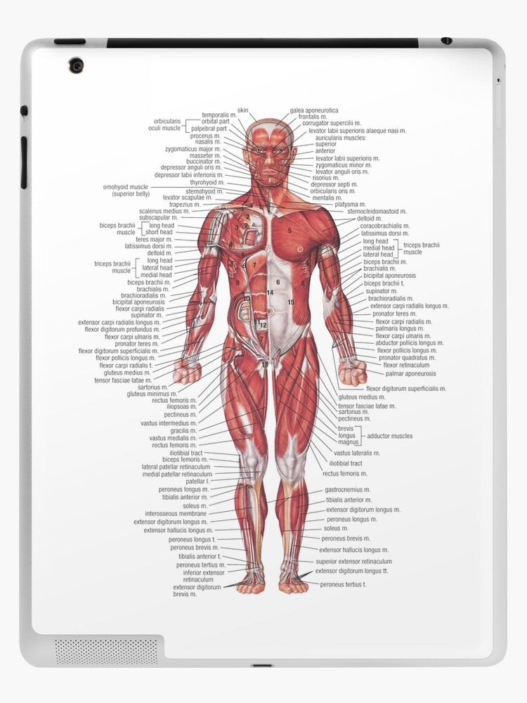 muscle man | iPad Case & Skin