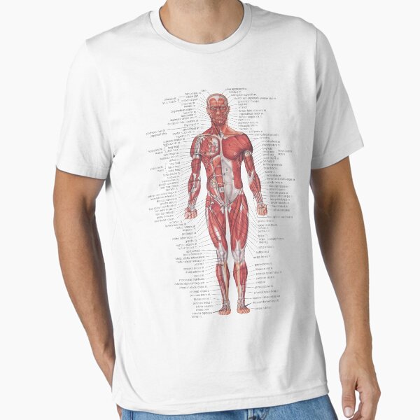 Item preview, Muscular System of the Human Body designed and sold by Hoorahville.