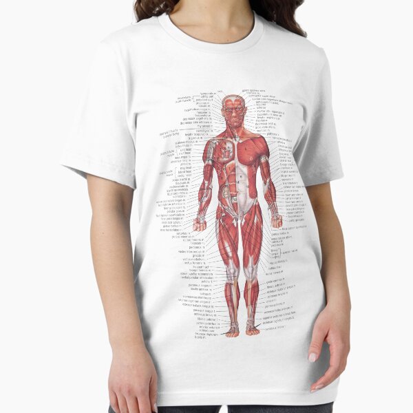 Item preview, Muscular System of the Human Body designed and sold by Hoorahville.