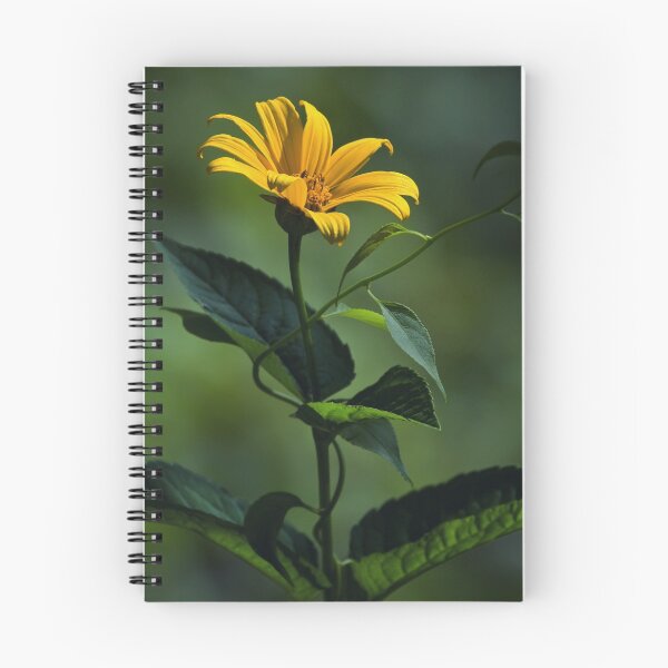 Item preview, Sun Worshiper designed and sold by Margaret Barry.