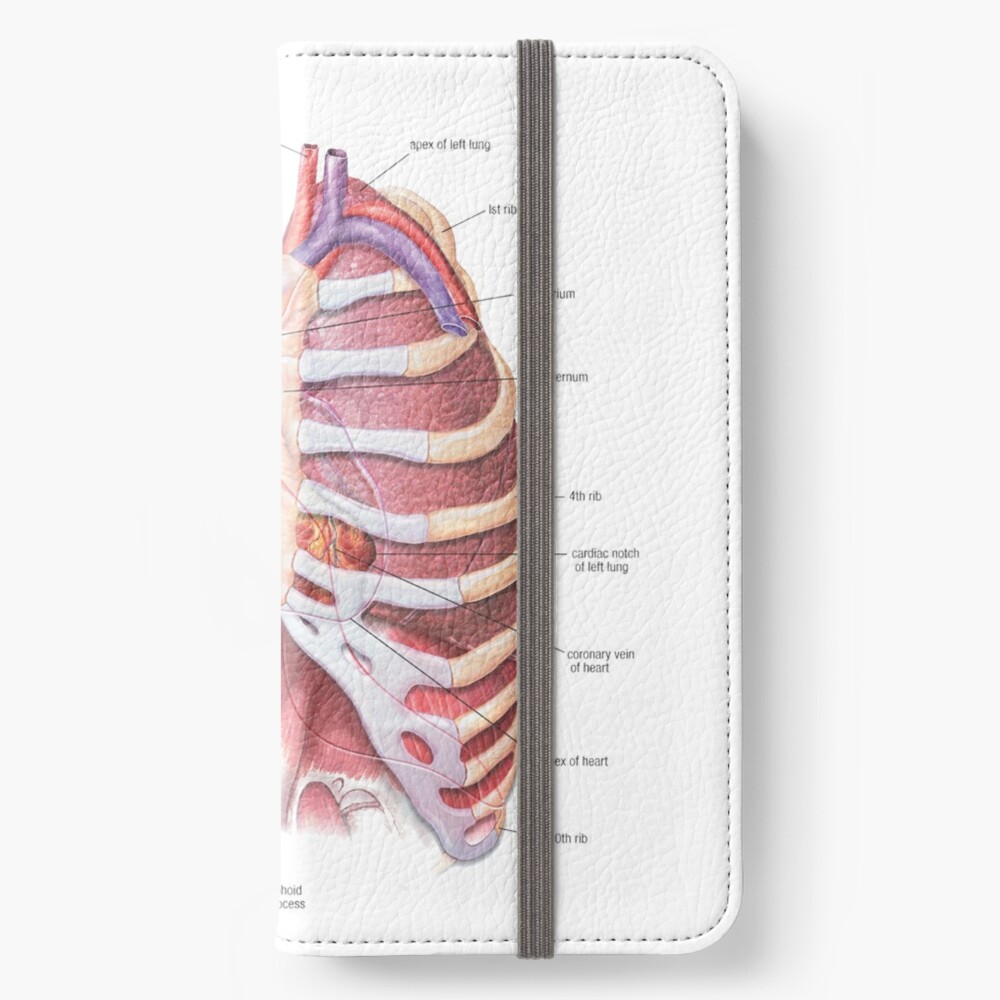 Chest Anatomy - Human Body iPhone Wallet for Sale by Hoorahville