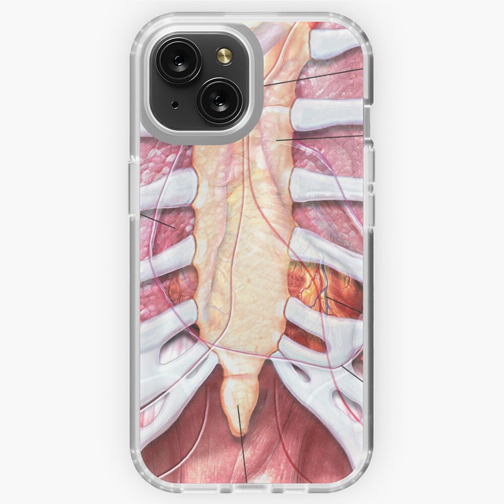 Chest Anatomy - Human Body iPad Case & Skin for Sale by Hoorahville