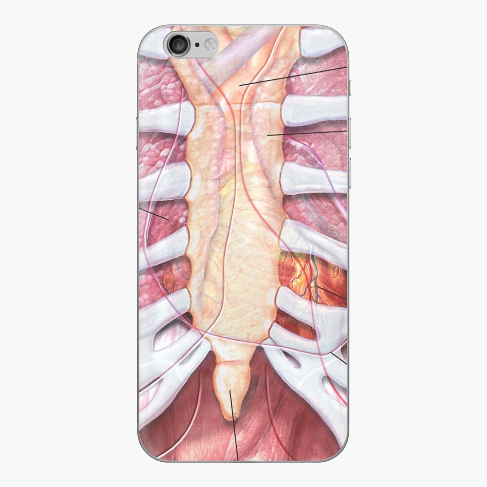 Chest Anatomy - Human Body iPad Case & Skin for Sale by Hoorahville