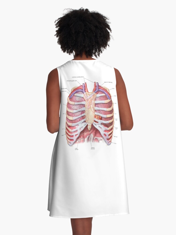 Chest Anatomy - Human Body A-Line Dress for Sale by Hoorahville
