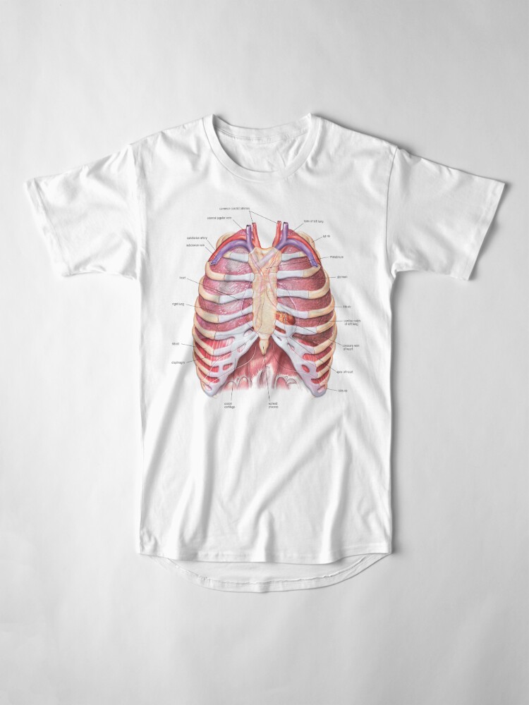 anatomy t shirts