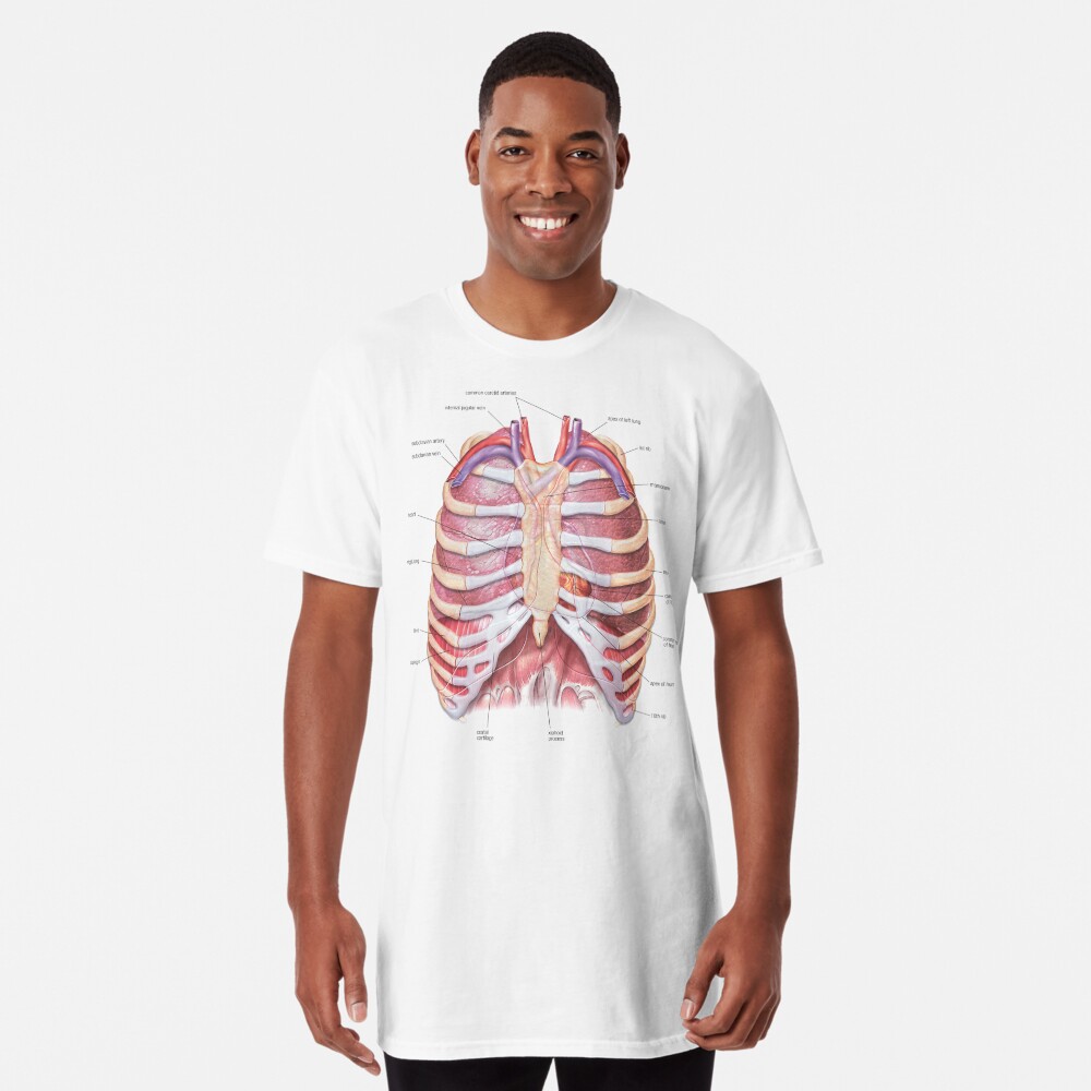 Chest Anatomy - Human Body Scarf for Sale by Hoorahville