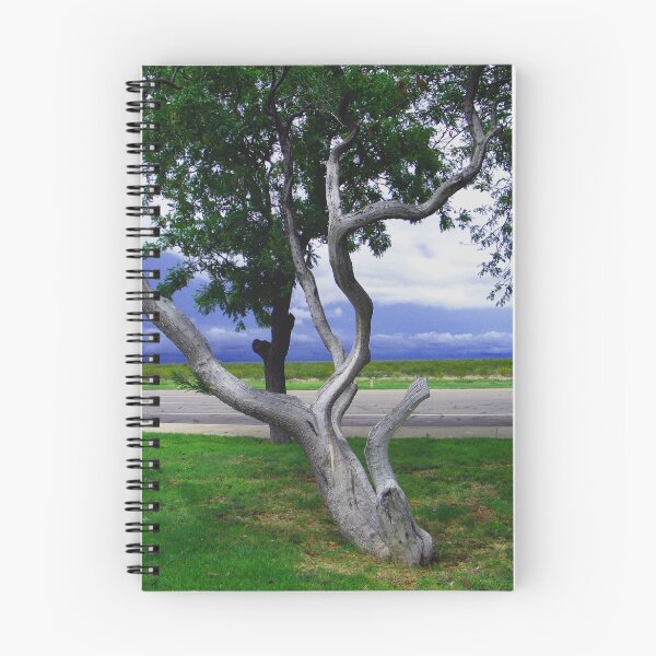 Item preview, Old Tree designed and sold by R&PChristianDesign &Photography.
