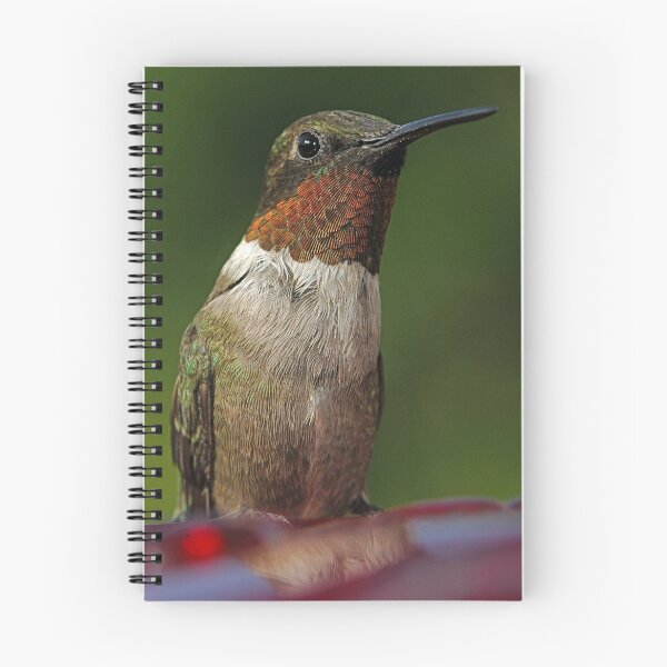 Item preview, Red Reflections designed and sold by Dennis Jones - CameraView.