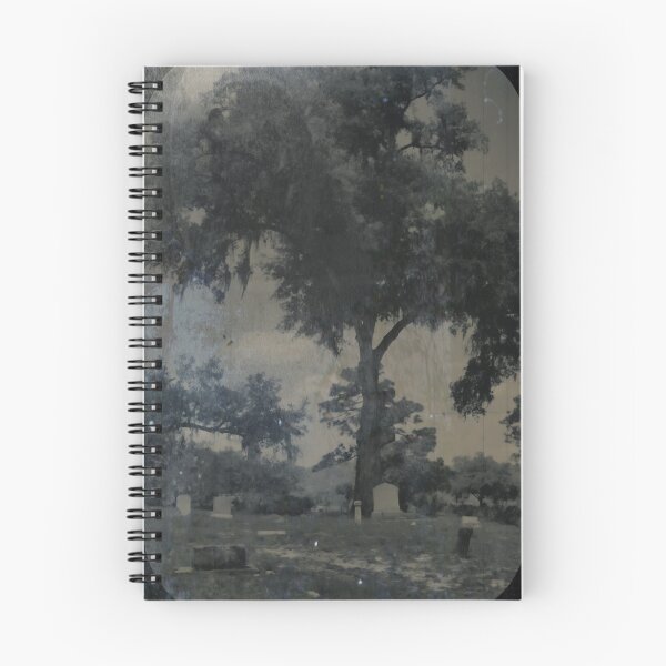 Item preview, CASSADAGA TIN TYPE designed and sold by SID GRAVES.