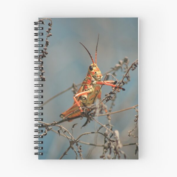 Item preview, Lubber Grasshopper designed and sold by Virginia N. Fred.