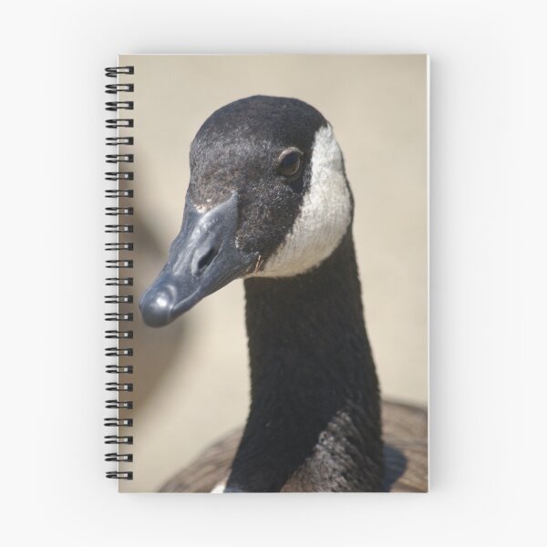 Item preview, Ready for my close up dear... designed and sold by photoclimber.