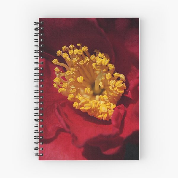 Item preview, Stamens of Red Camellia designed and sold by Bev Pascoe.