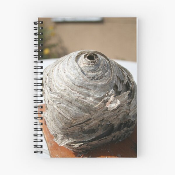 Item preview, Wasps nest designed and sold by Teuchter.