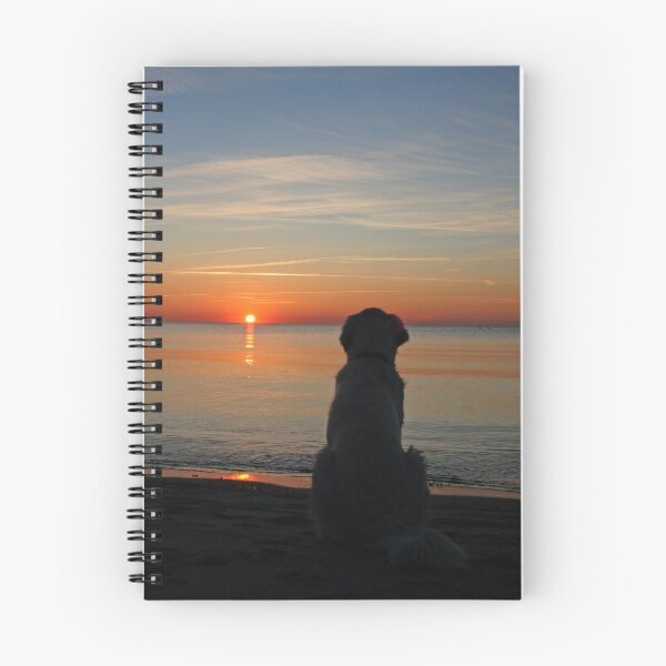 Item preview, My Golden Retriever Ditte enjoys the sunset designed and sold by Trine.