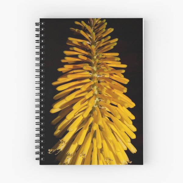 Item preview, Yellow Brush designed and sold by Ben Rae.