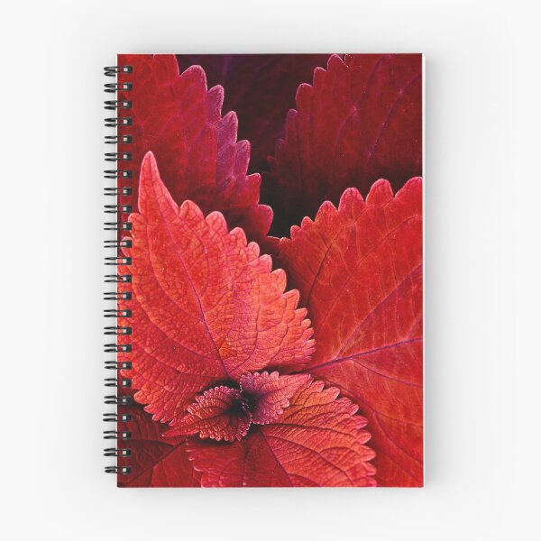 Item preview, Serration in Red designed and sold by Jerry  Ford.