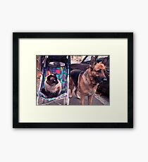 Basil and Bella Framed Print