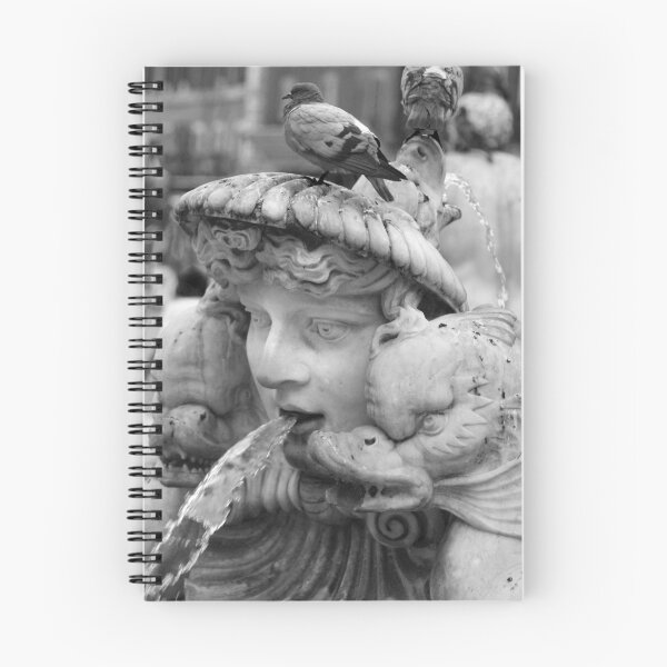 Item preview, Bernini fountain, Piazza Navona, Rome designed and sold by Theresa Elvin.