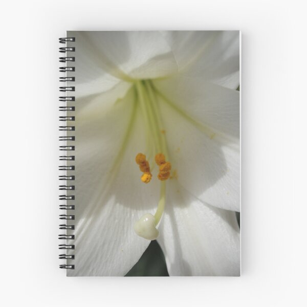 Item preview, The Beauty Inside designed and sold by Virginia N. Fred.