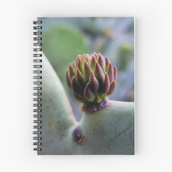 Item preview, A Prickly Pear Flower Bud ( Series ) designed and sold by Carla Jensen.