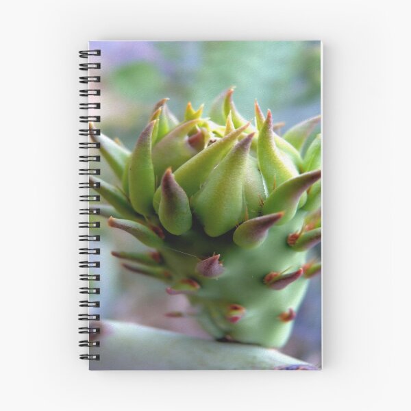 Item preview, A Prickly Pear Flower Bud  2  ( Series ) designed and sold by Carla Jensen.