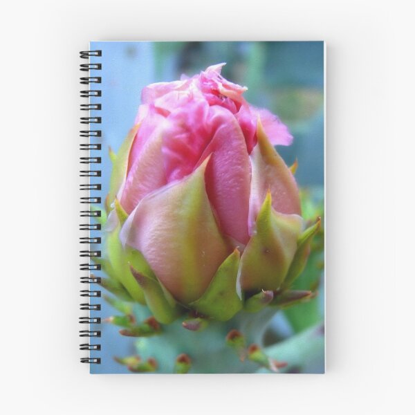 Item preview, A Prickly Pear Flower Bud  3 designed and sold by Carla Jensen.