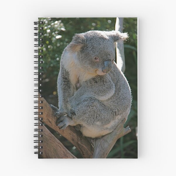 Item preview, Koala designed and sold by Kathy Silcock.