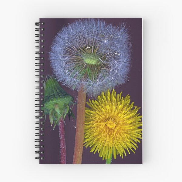 Item preview, three dandelions designed and sold by Margaret Hockney.