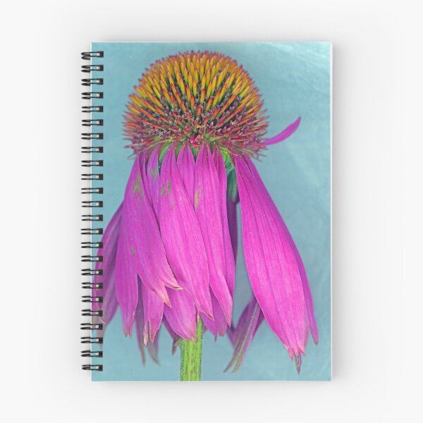 Item preview, Echinacea designed and sold by Margaret Hockney.