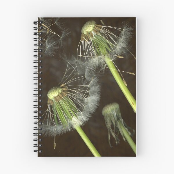 Item preview, Spiky dandelion designed and sold by Margaret Hockney.