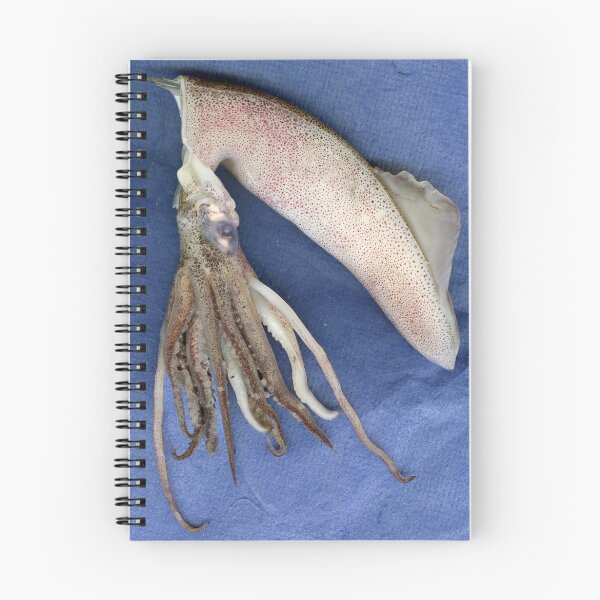 Item preview, Squid designed and sold by Margaret Hockney.
