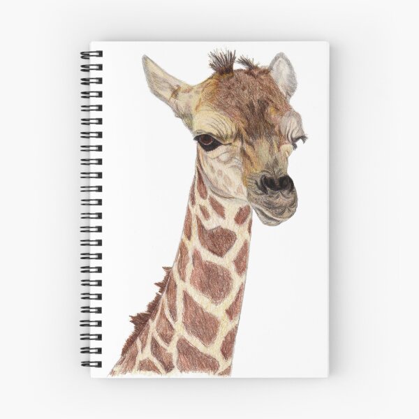 Item preview, Baby Giraffe designed and sold by Pamela Stirling.
