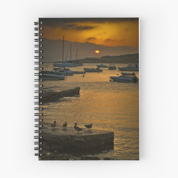 Item preview, Duck Dawn Salina Malta designed and sold by Edwin  Catania.