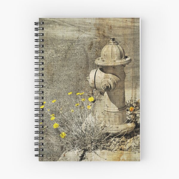 Item preview, The Old Fire Hydrant designed and sold by Barbara Manis.