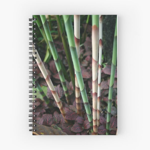 Item preview, Bamboo  designed and sold by Lauren Banks.