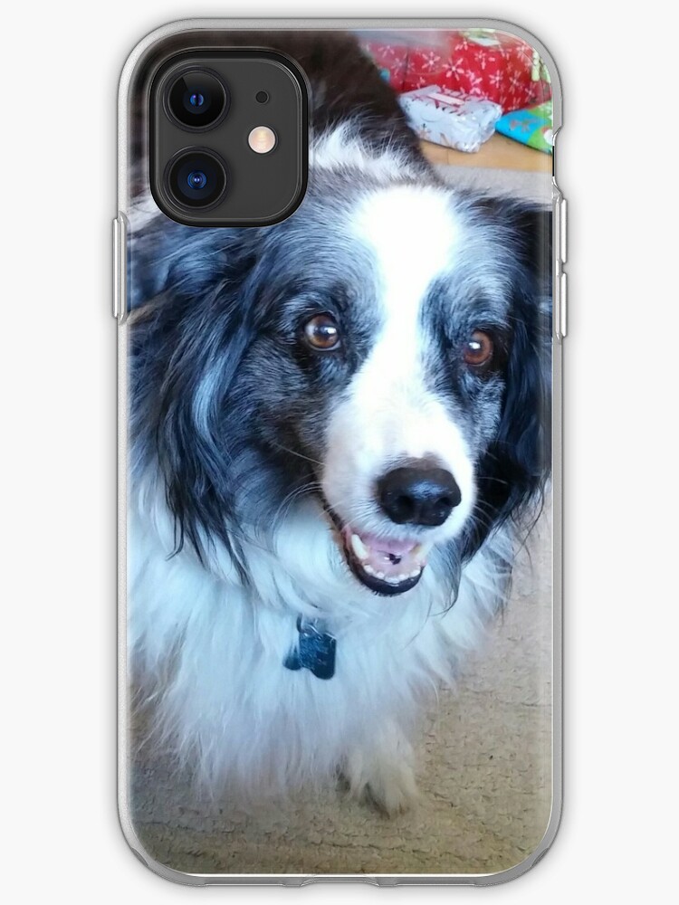 Blue Merle Border Collie Australian Shepherd Cross Giving Eye Iphone Case Cover By Nfssmith Redbubble