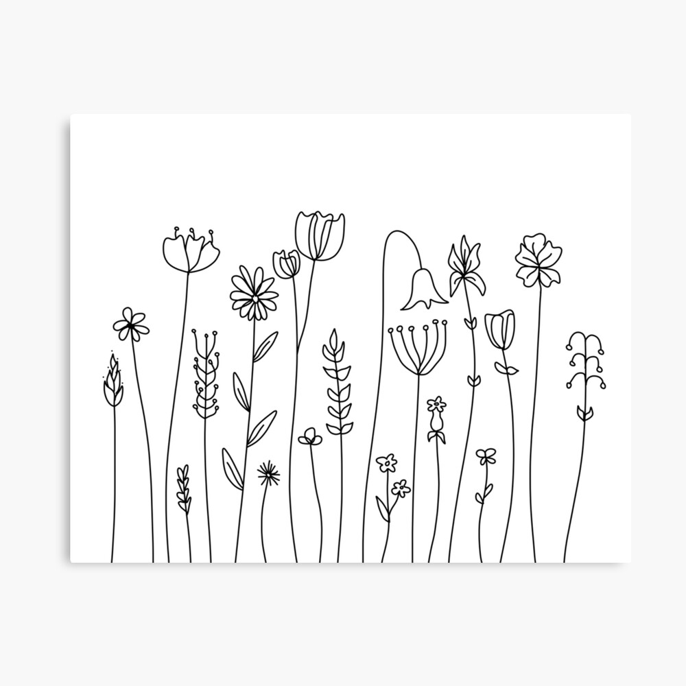 Simple Line Art Drawings of Flowers in Black and White" Photographic Print for Sale by Odyanne Redbubble
